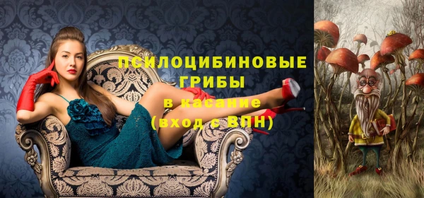 мяу мяу мука Армянск