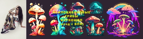 прущие крисы Арсеньев