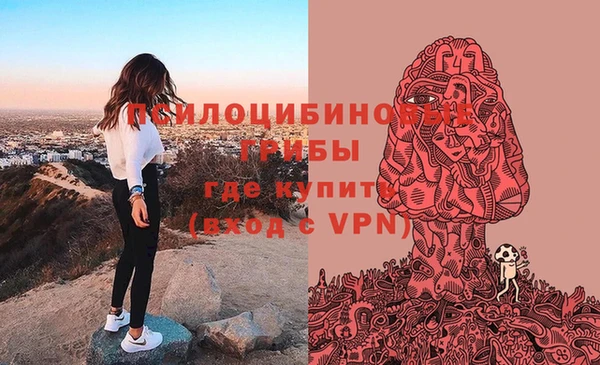 мяу мяу мука Армянск