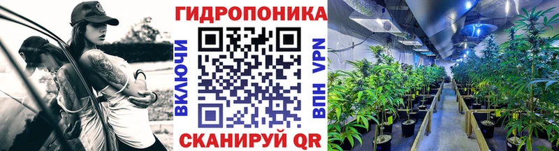 дарнет шоп Рыбное Бошки марихуана OG Kush